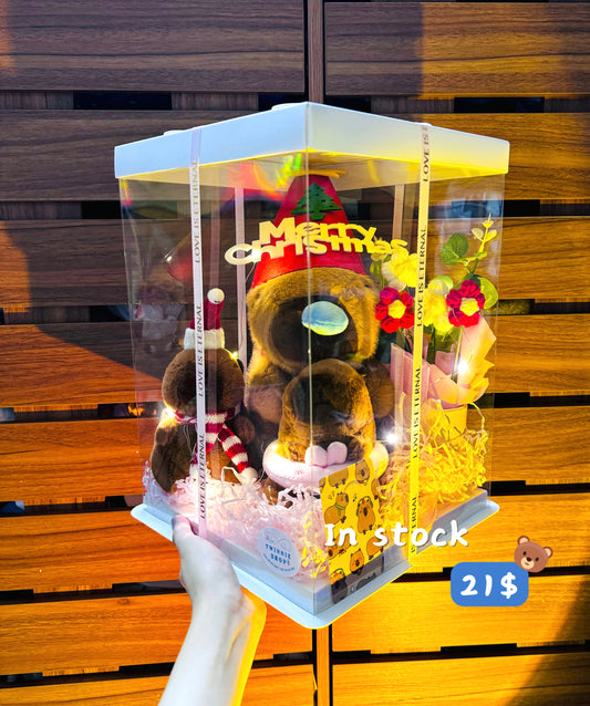 Xmas | Capybara gift set