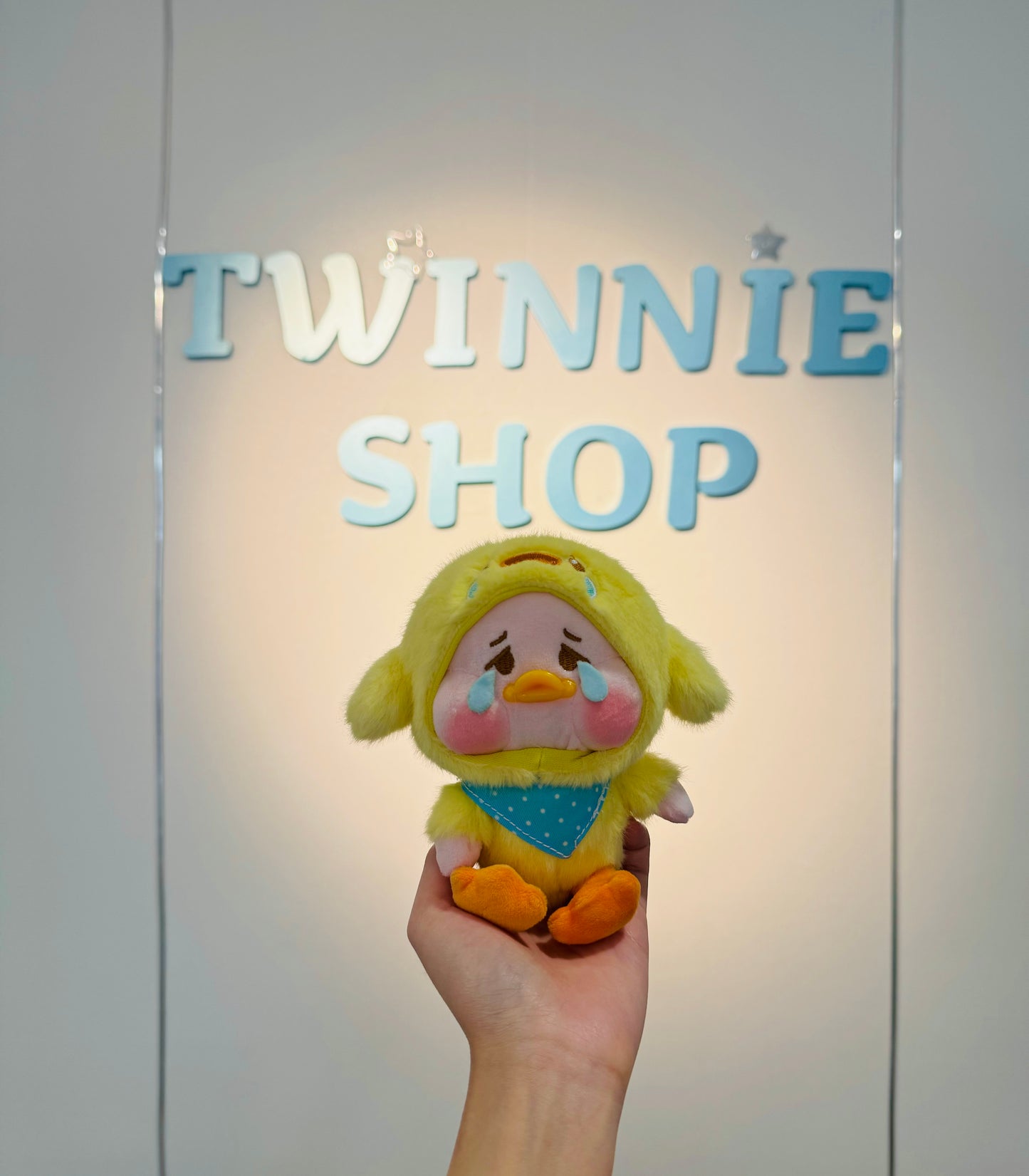 KEY | Duck keychain