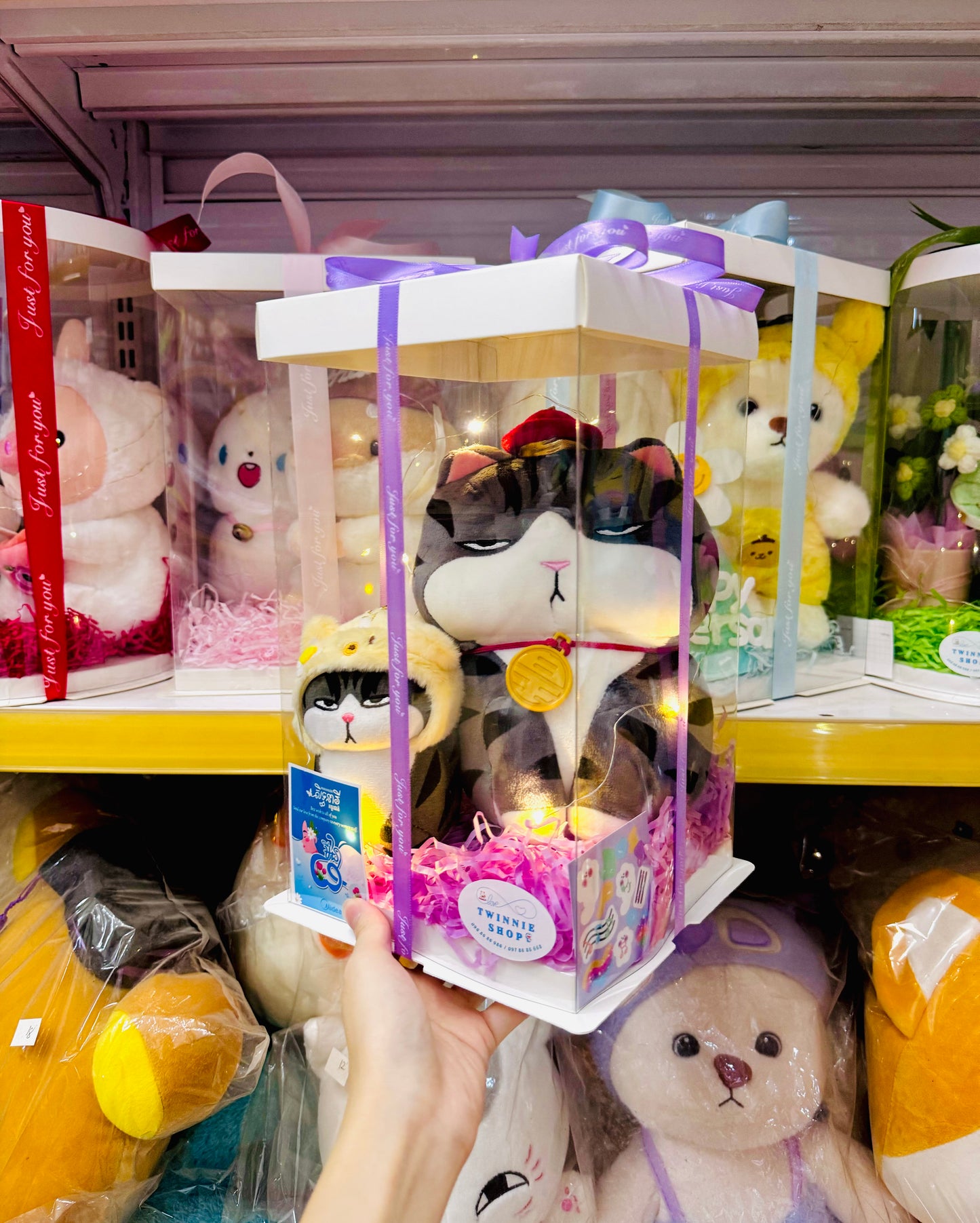 SRBK | Moody cat mix set