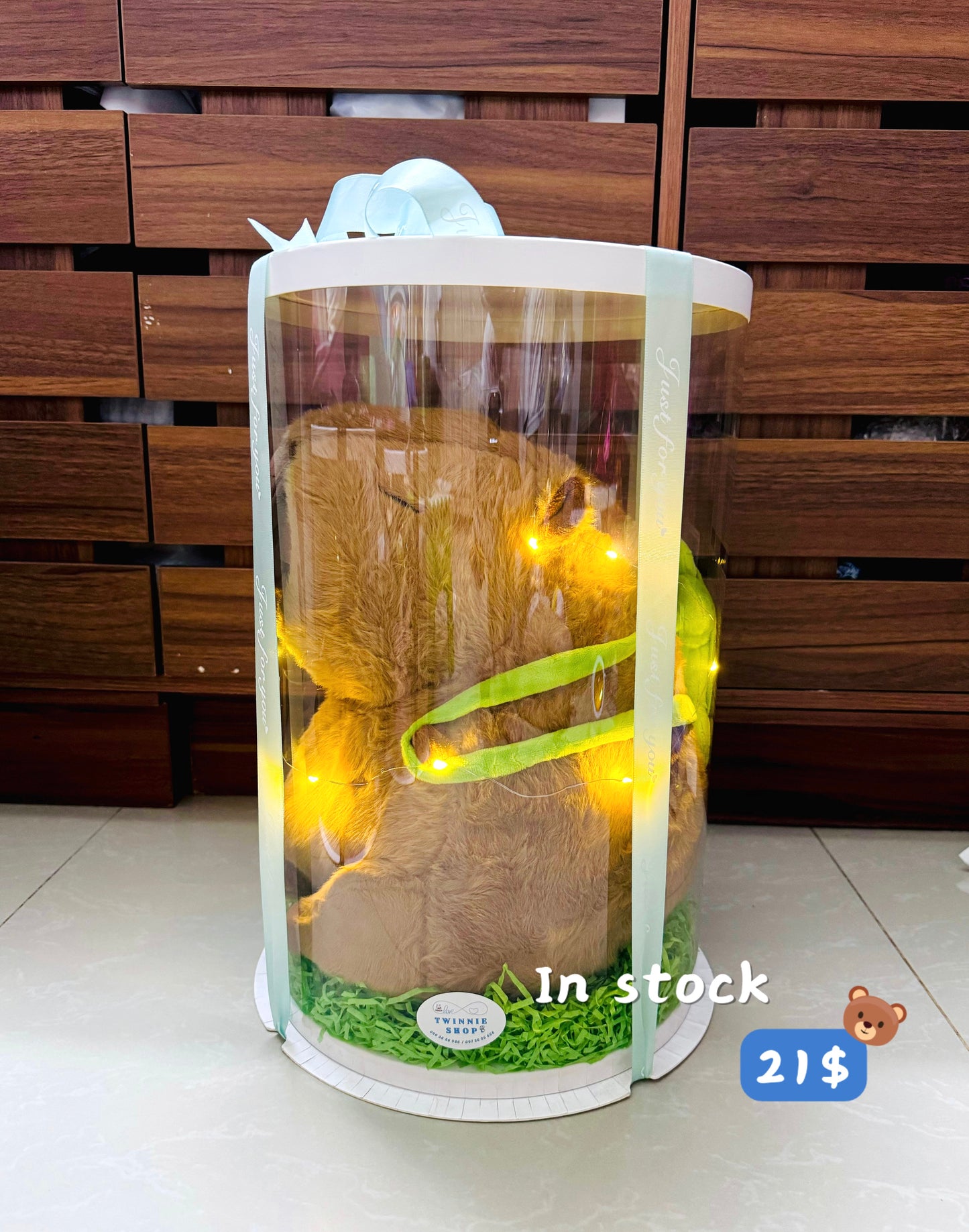 BB | Capybara turtle big set