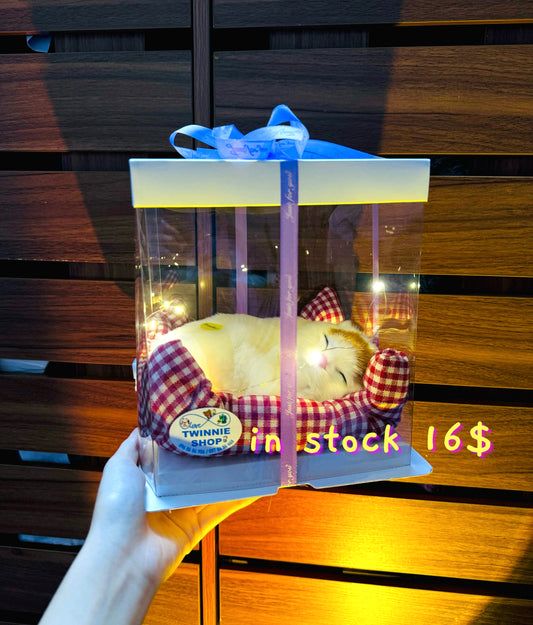 SRB | Sleeping cat gift box