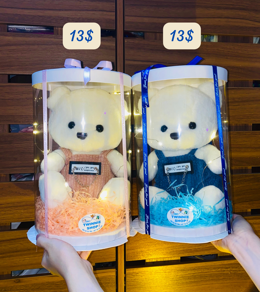 SRB13 | Teddy bear gift box
