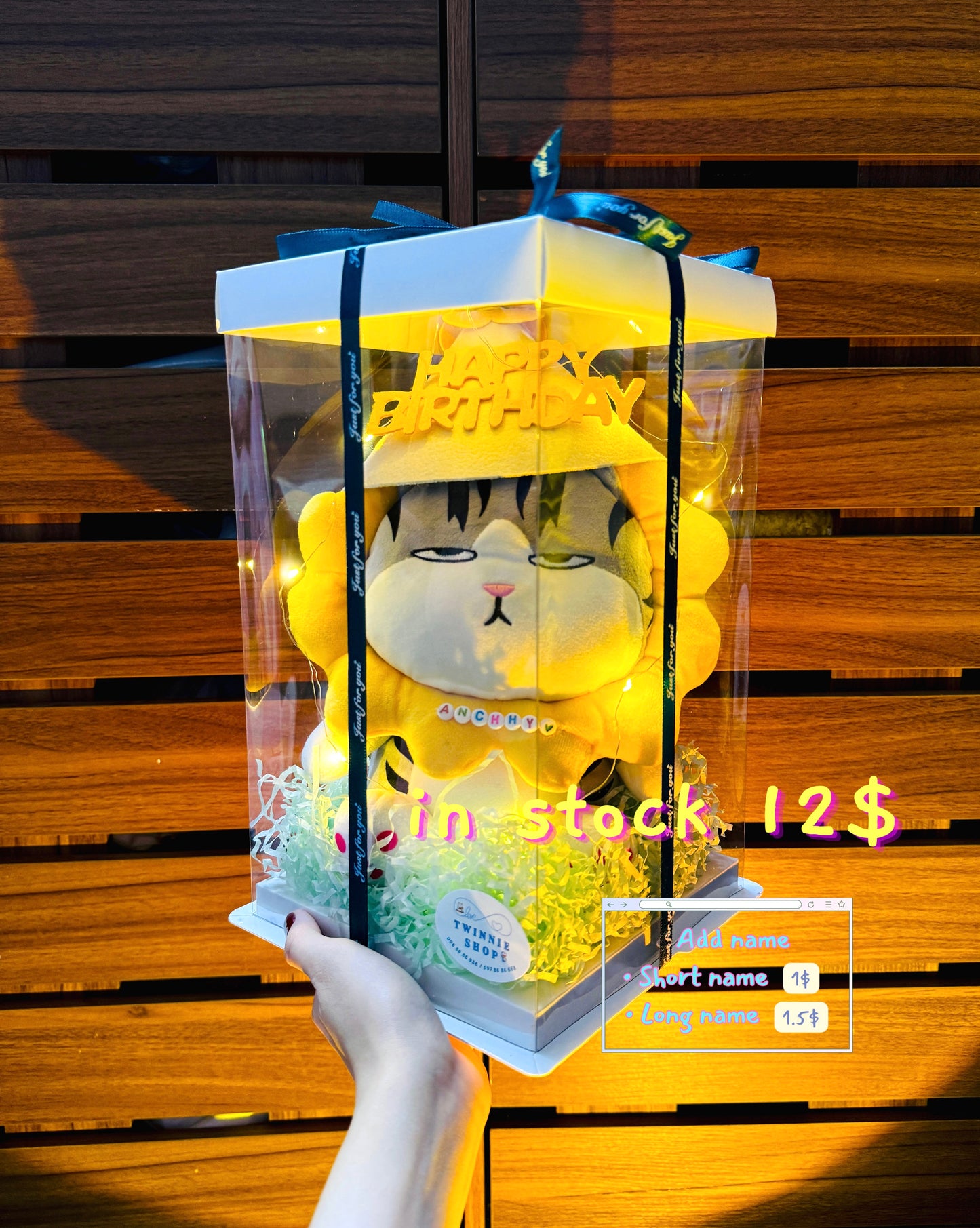 SRBBD | sunflower cat birthday box
