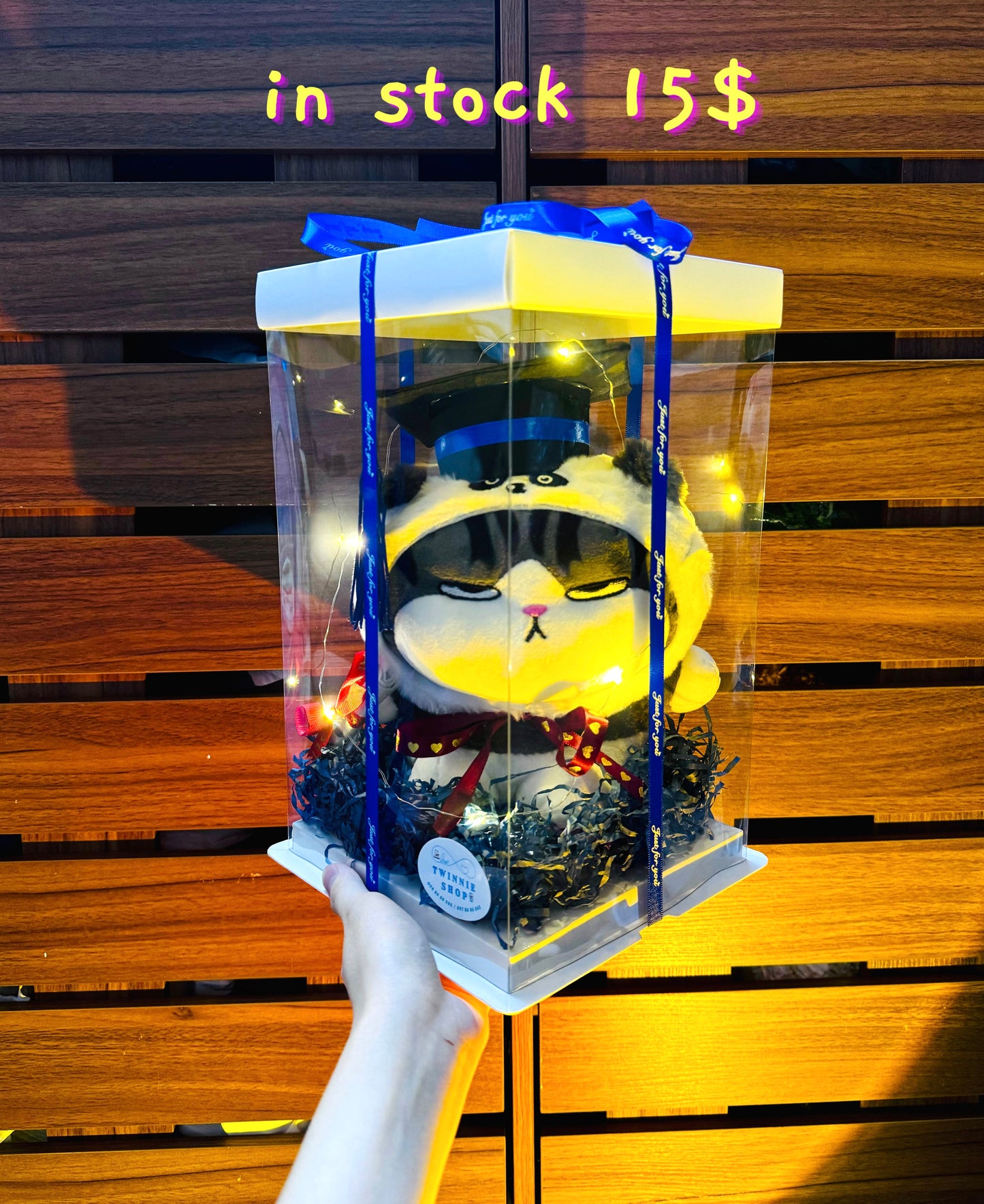 GRA | Colorful cat graduate gift set