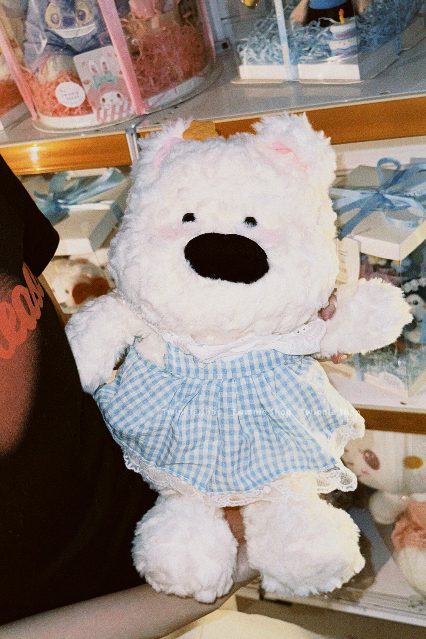 BT | Dress Star puppy