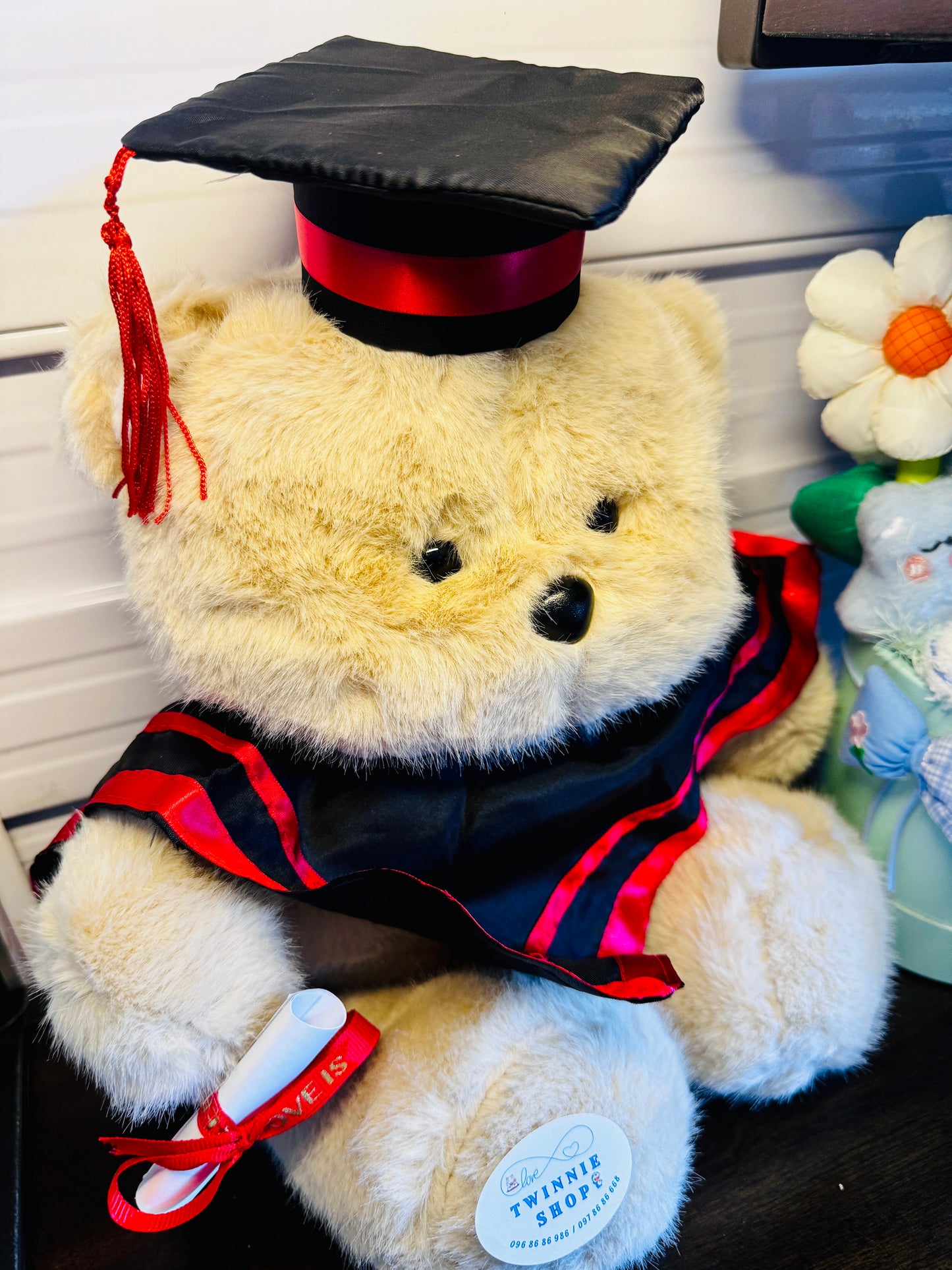 BT | Graduate teddy bear