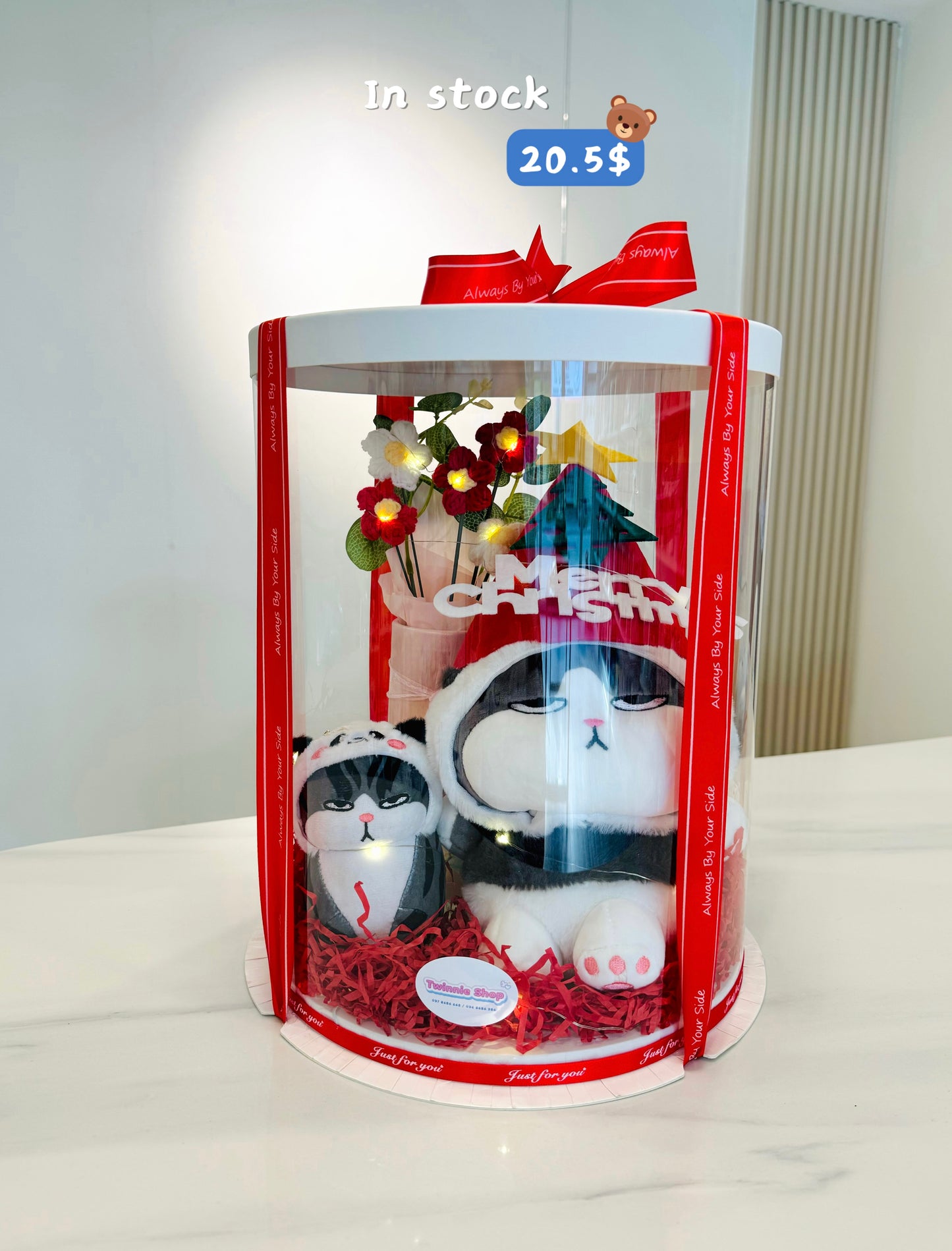 Xmas | Panda Cat Christmas set