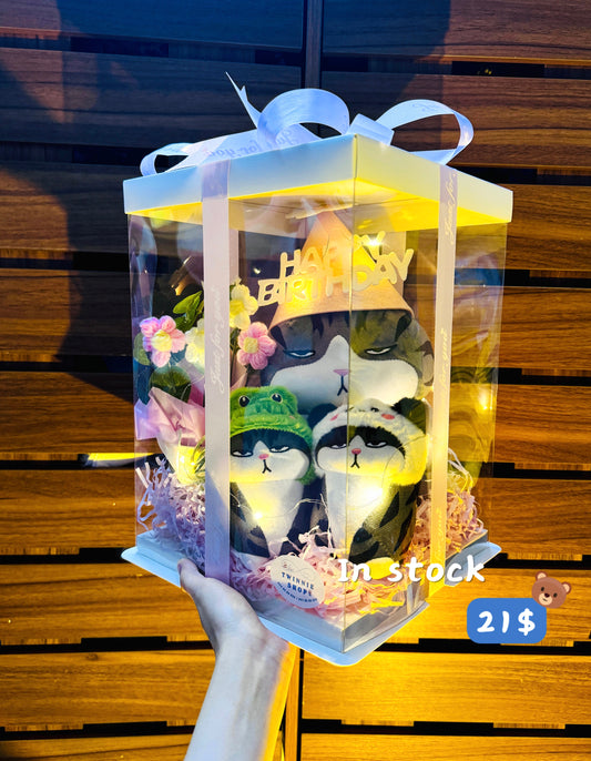 BD21 | Cat full birthday set