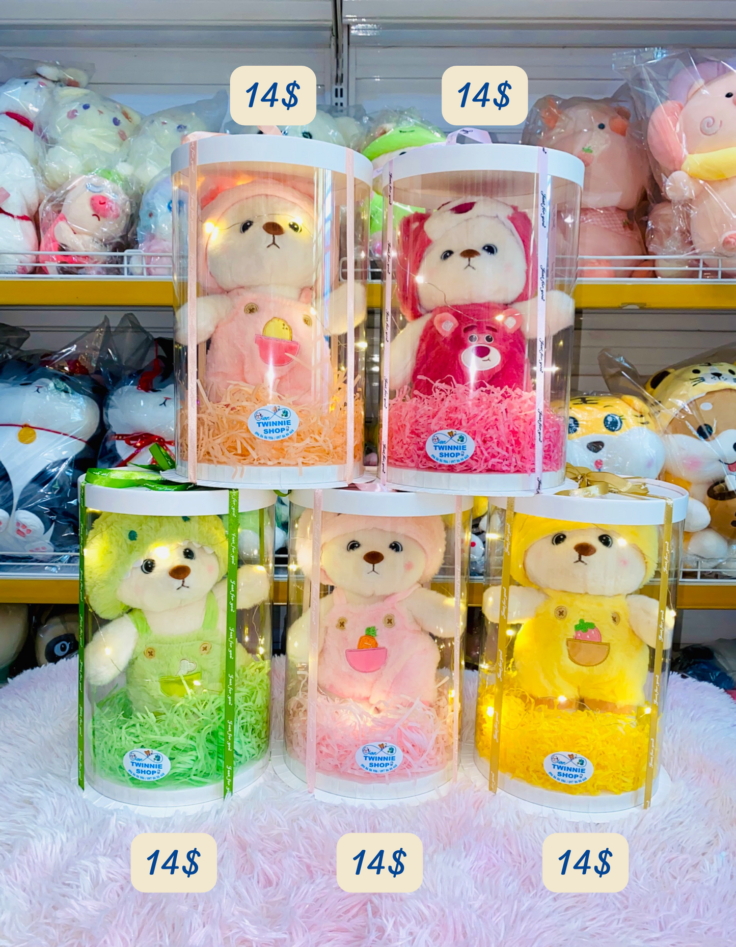 SRB14 | Teddy bear gift box