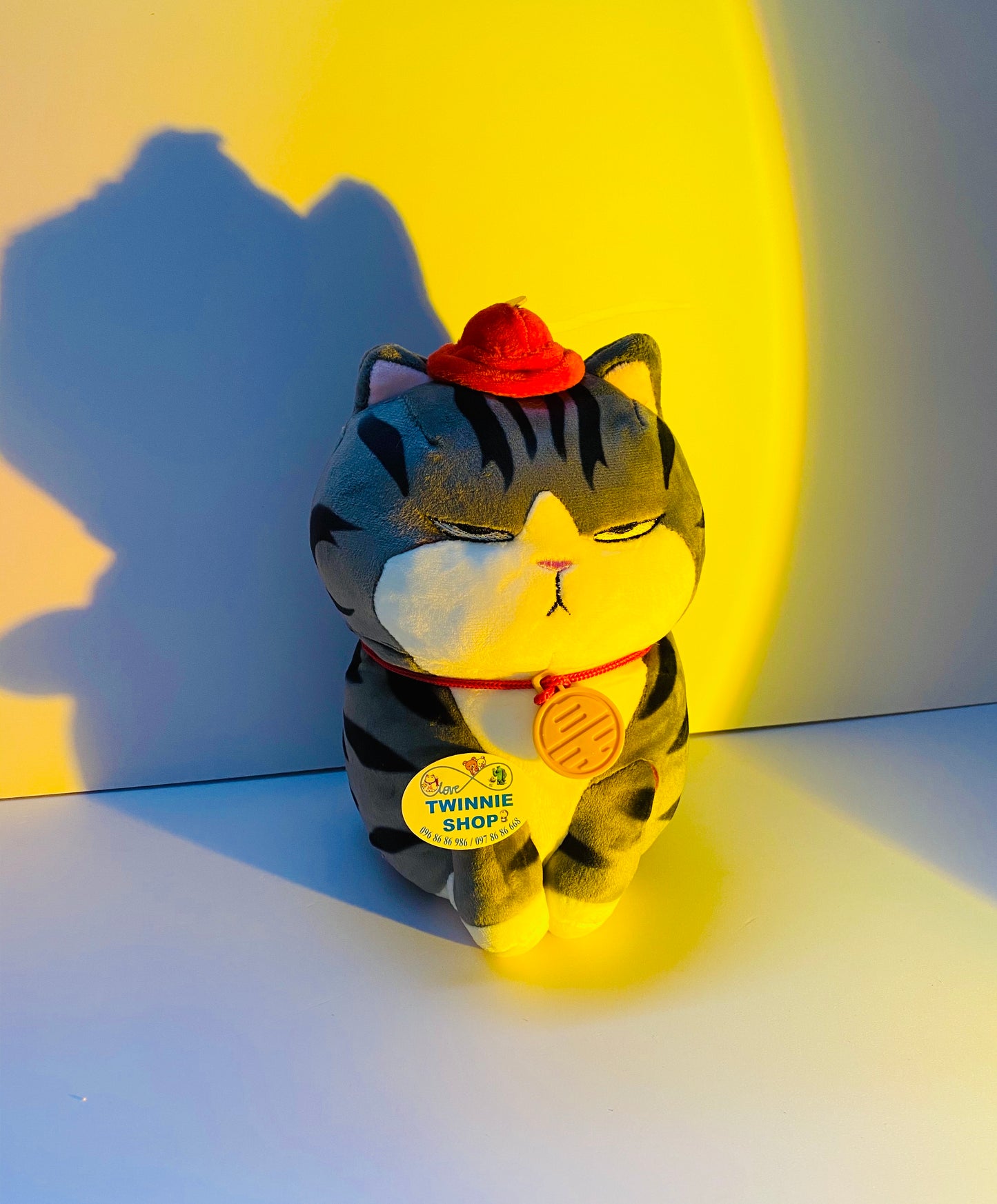 SD | Moody cat