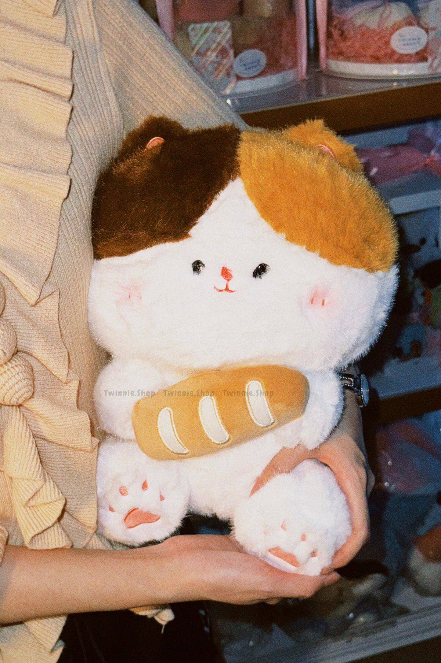 BT | Bread cat
