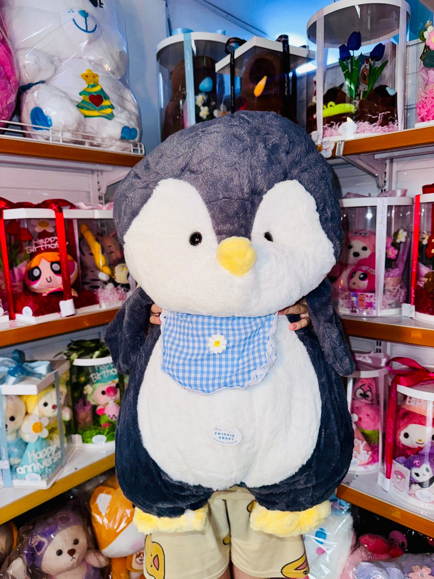 BT | Penguin