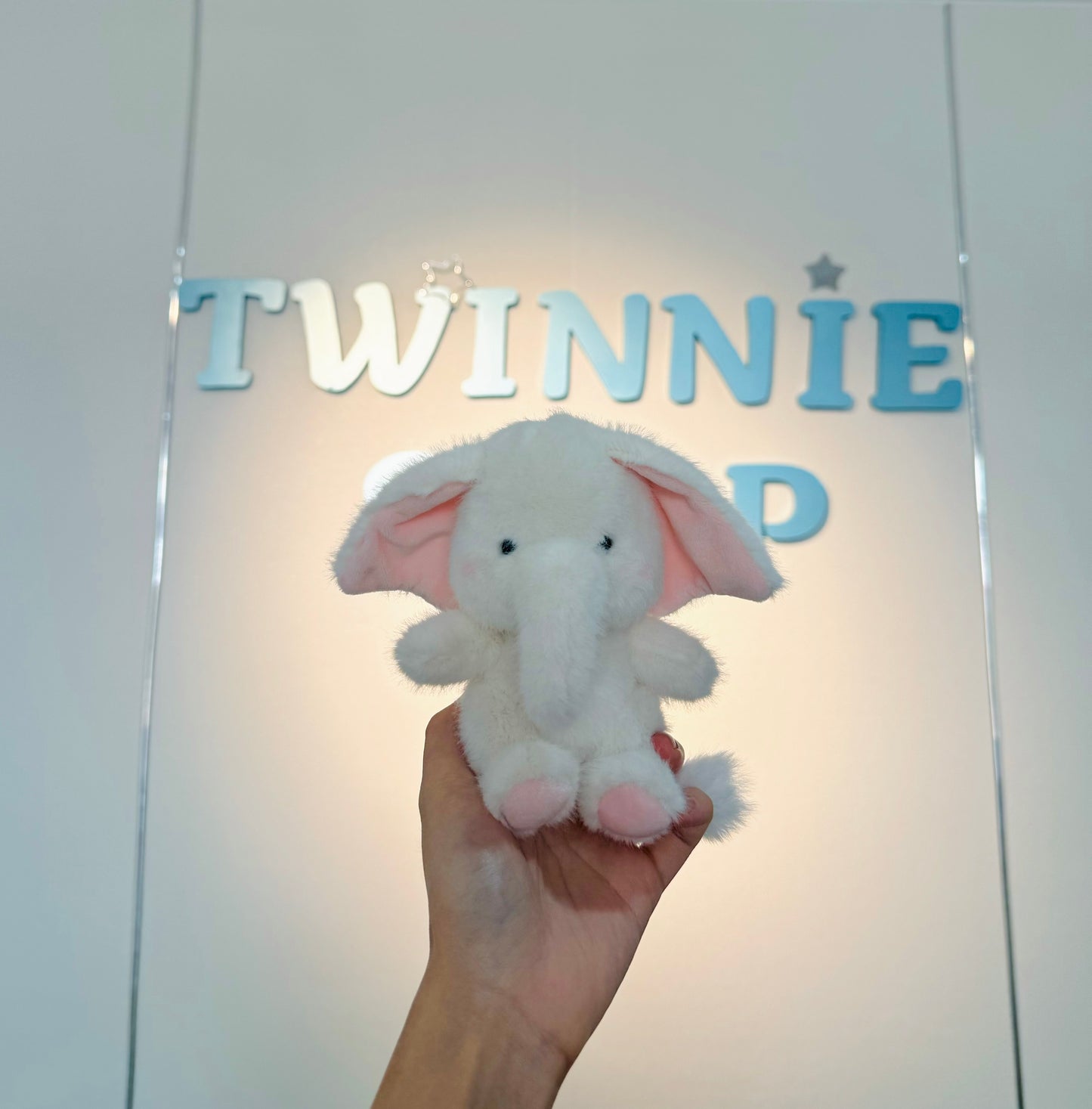 KEY | Elephant keychain
