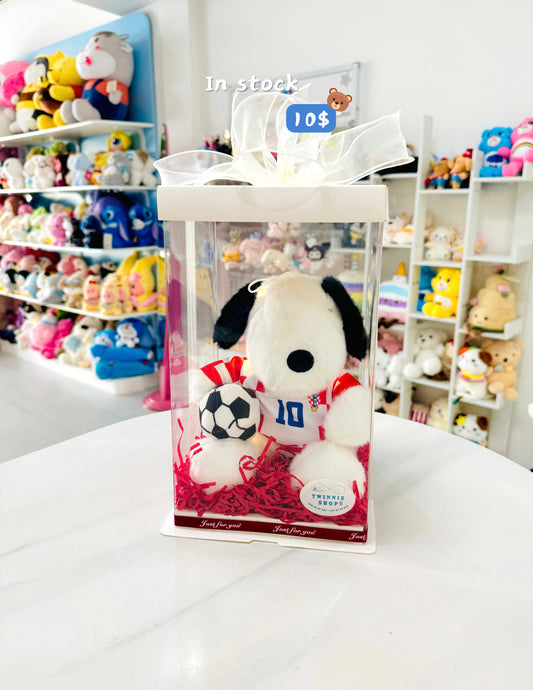 SRB10 | Snoopy gift set