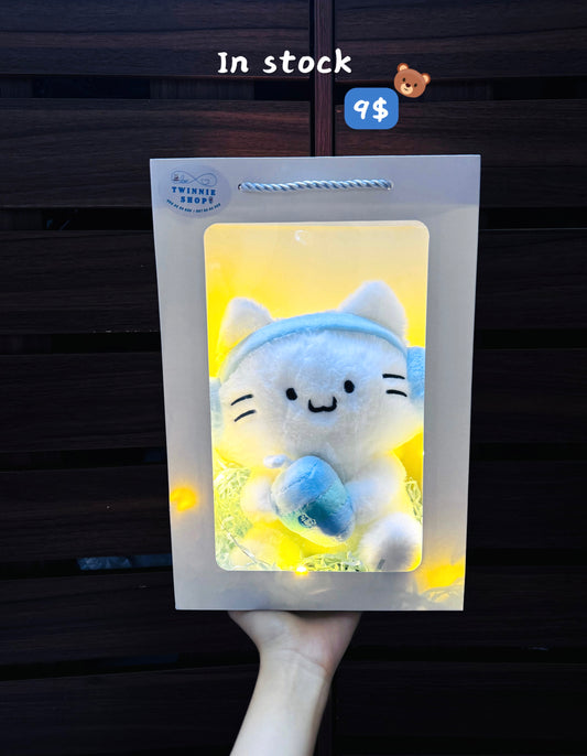 SRB10 | Music cat gift bag