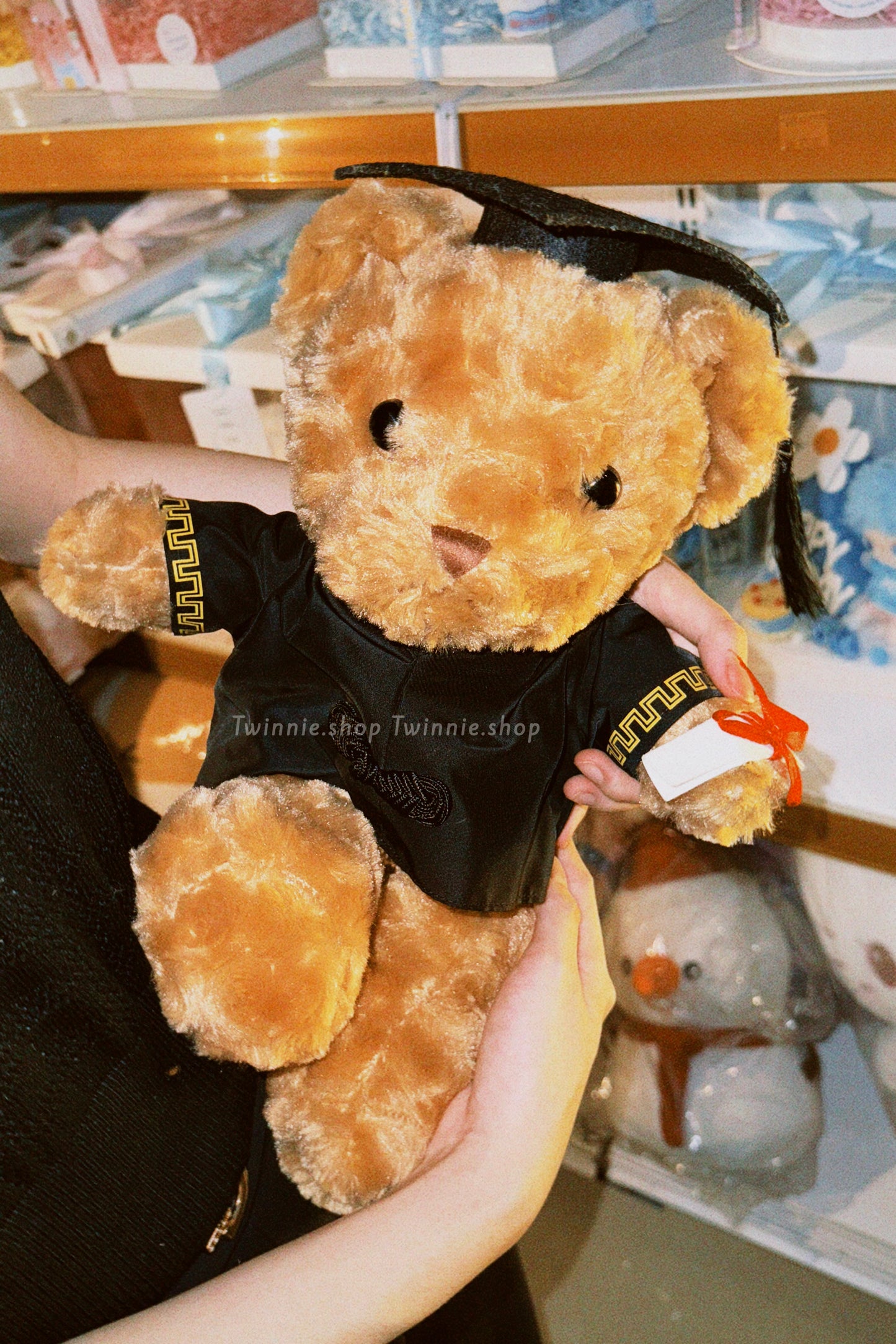 BT | Graduate brown bear