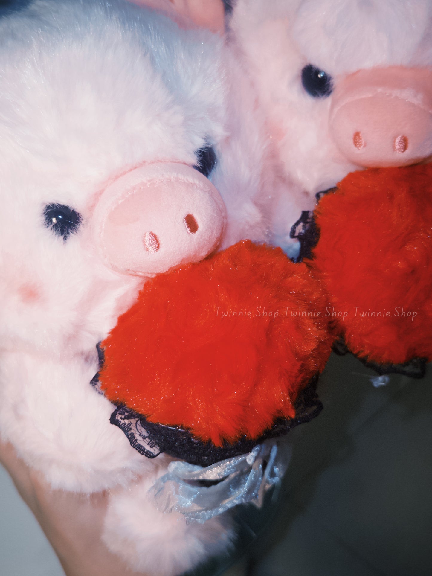 SD | Rose pig