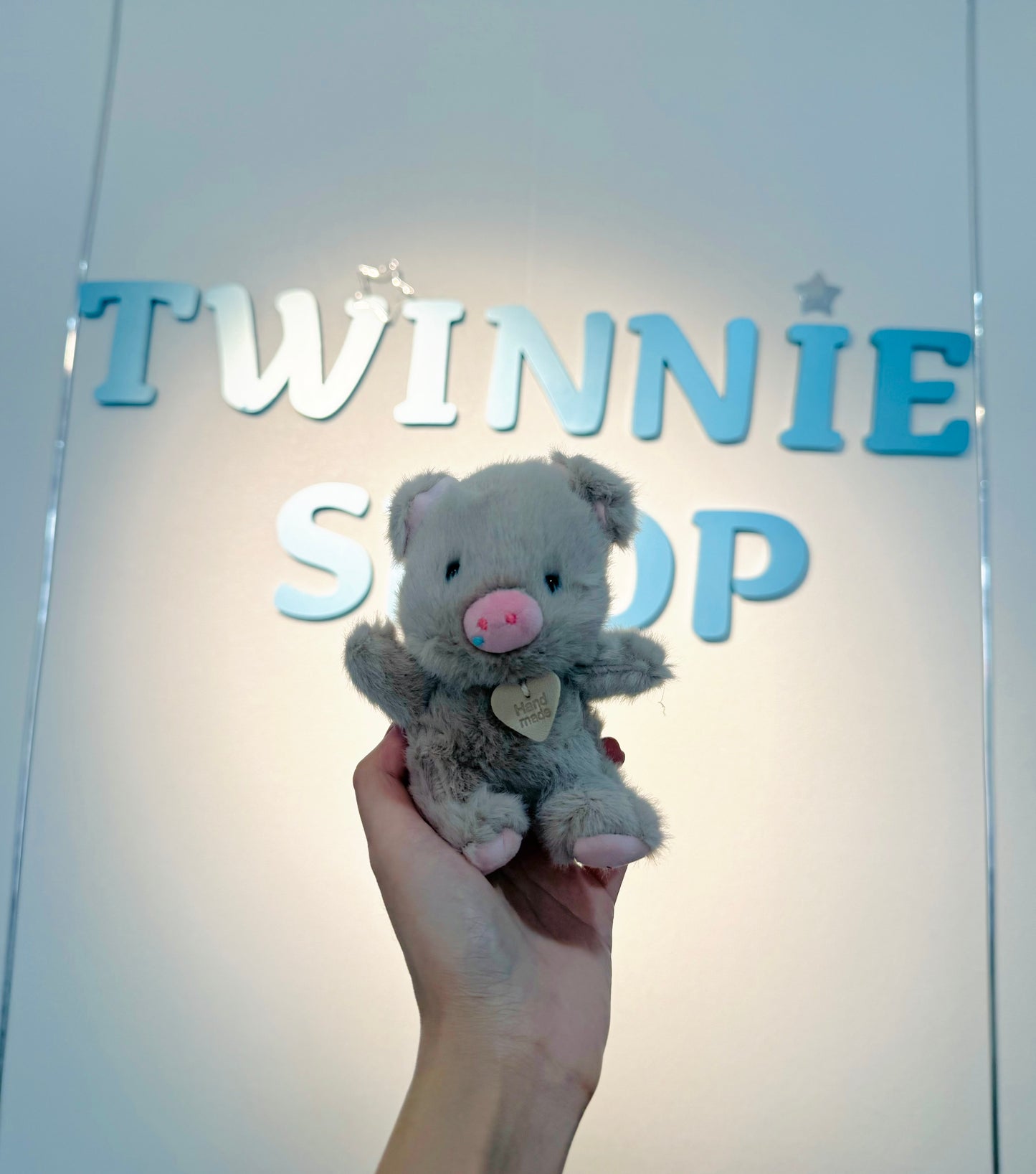 KEY | Piggy keychain