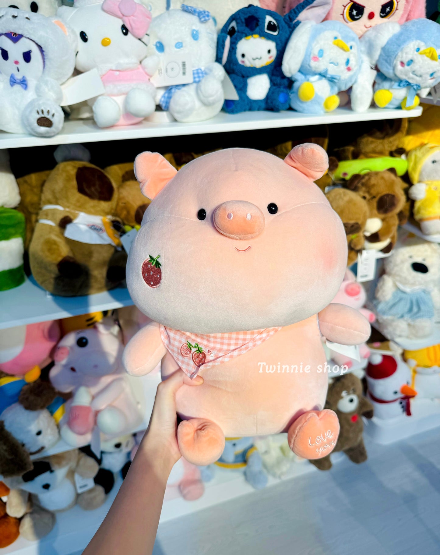BT | Strawberry pig
