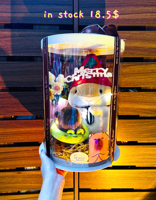 Xmas | Hamster mix gift set