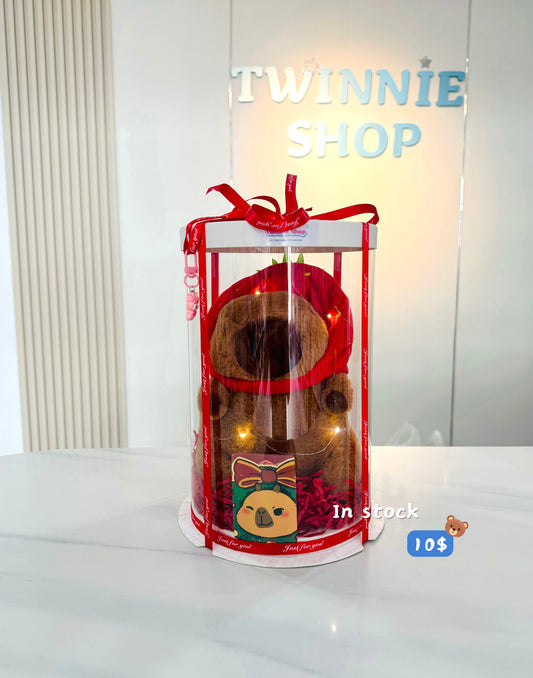 SRB10 | Capybara gift set