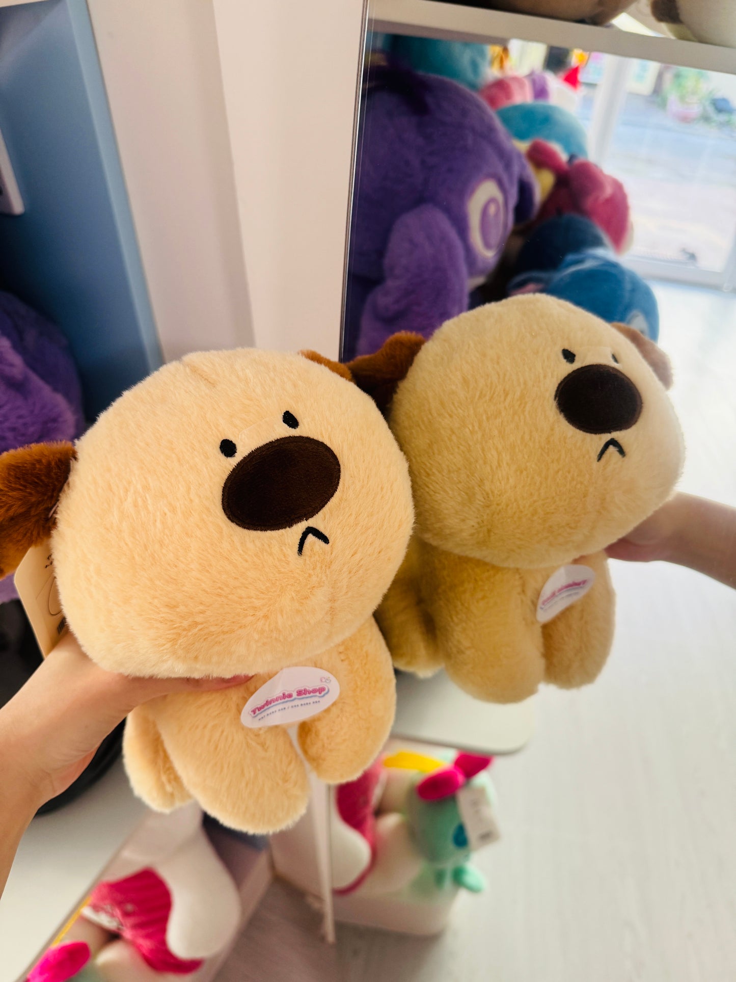 SD | Puppy