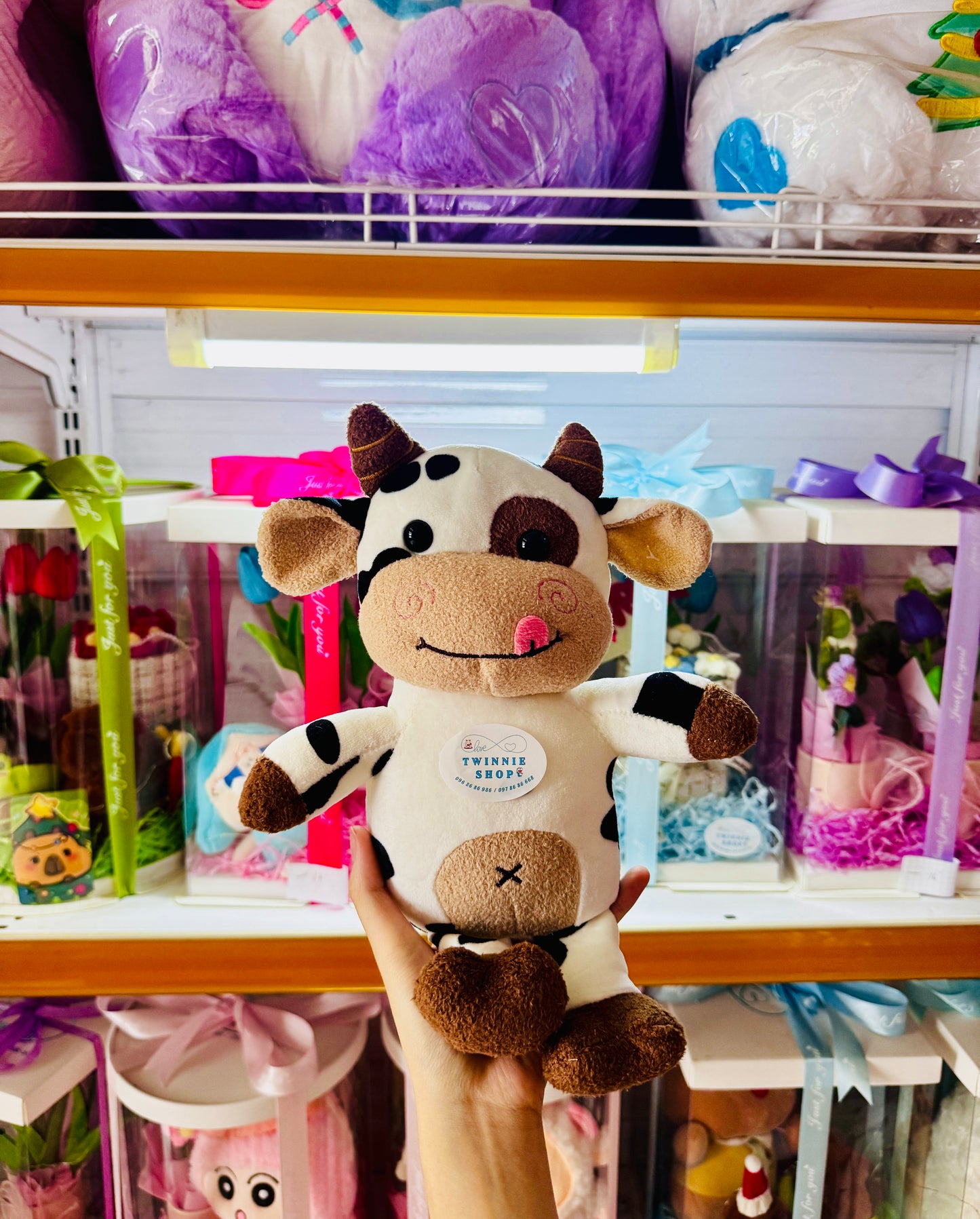 SD | Cow