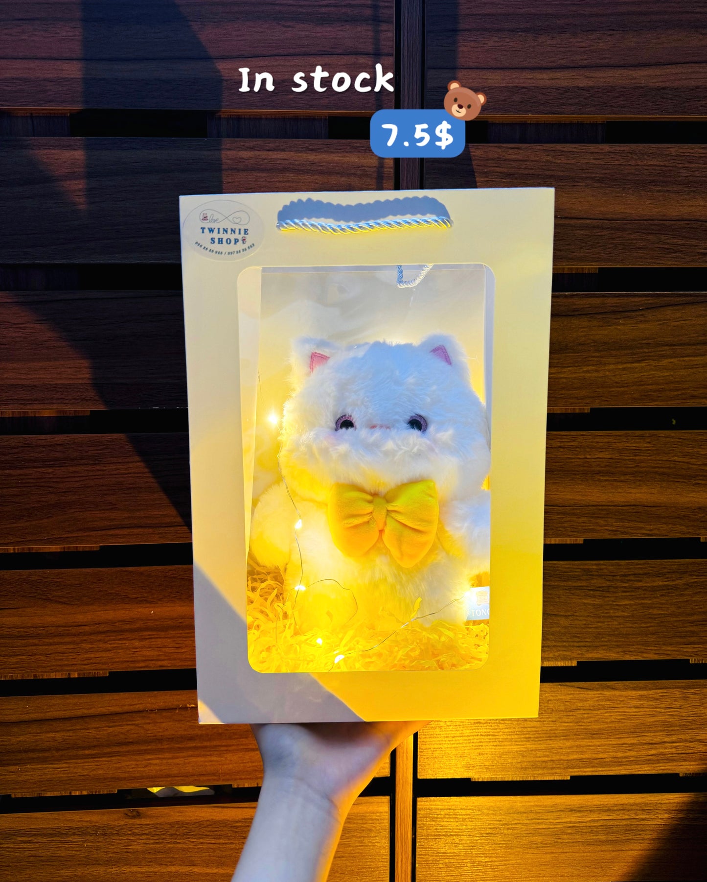 SRB | Ribbon cat gift bag
