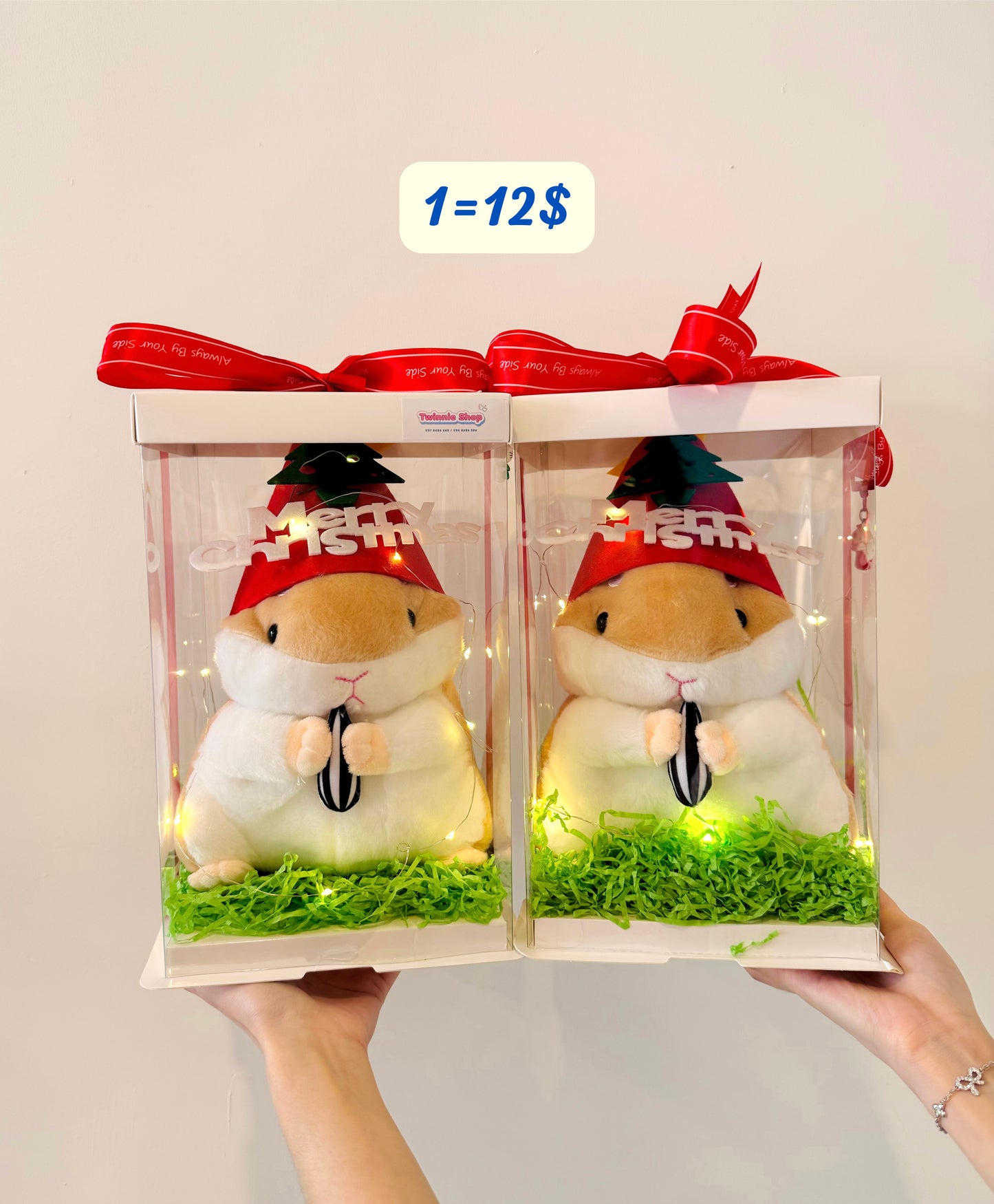 Xmas | Christmas set price