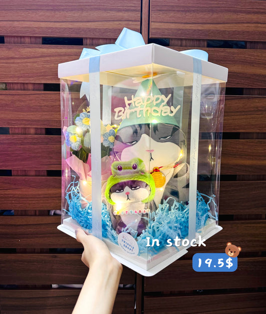 BD18 | Moody cat family birthday set