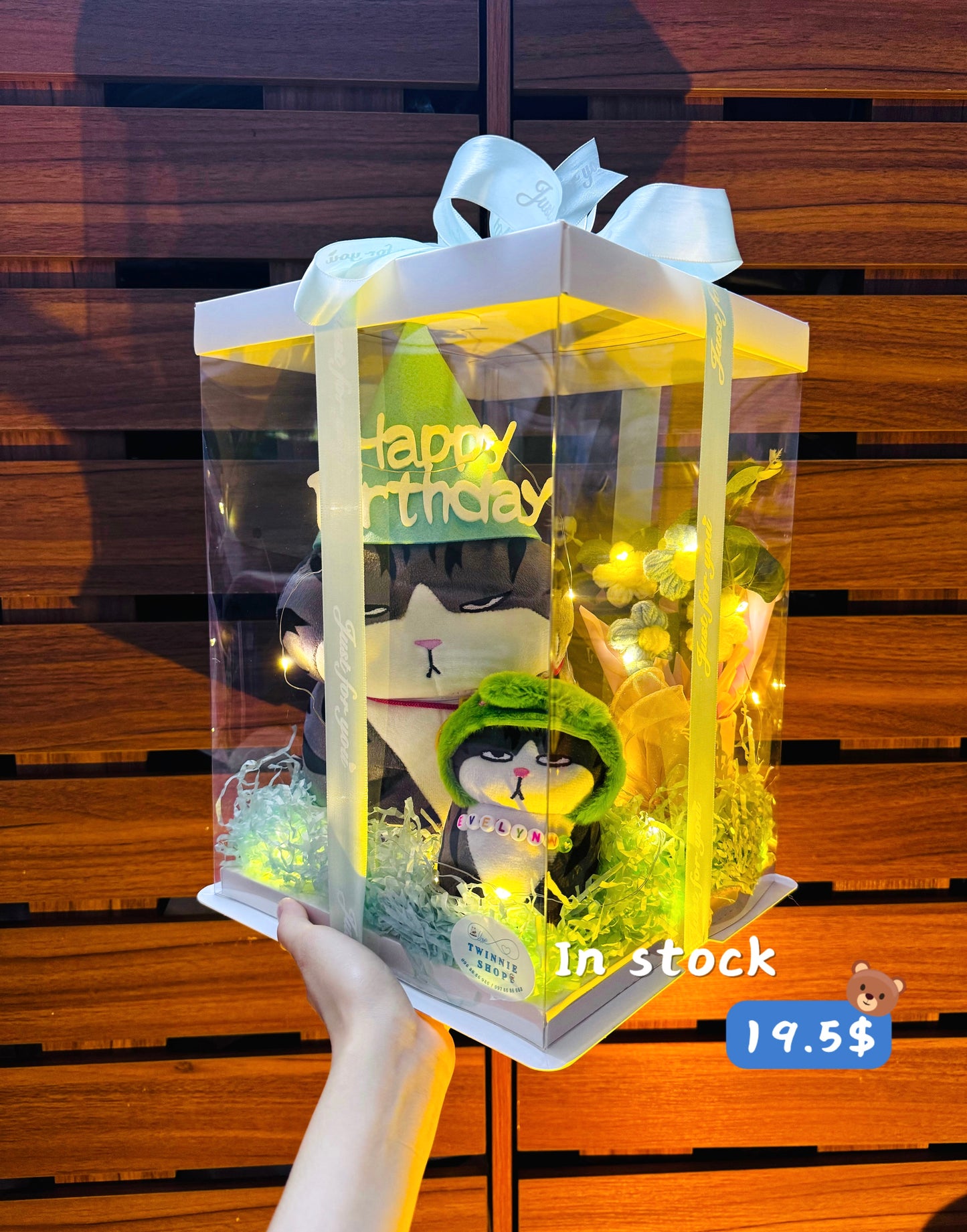 BD18 | Moody cat family birthday set