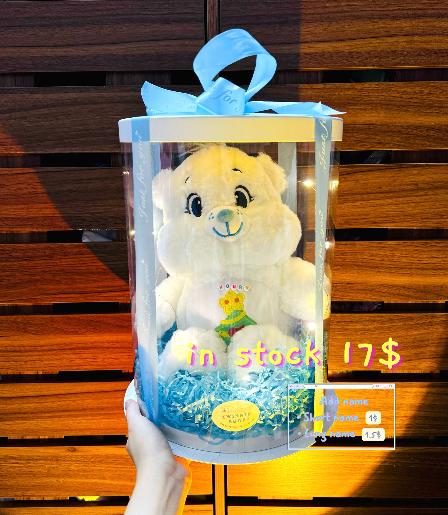 BB | Care bear 30cm set