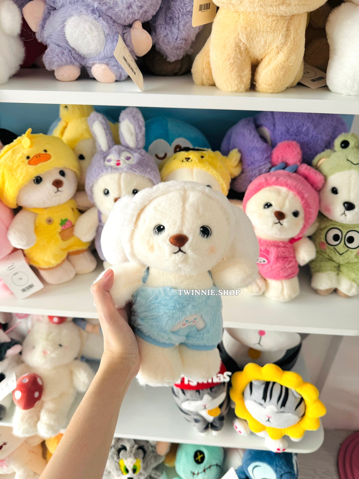 SD | Colorful bear