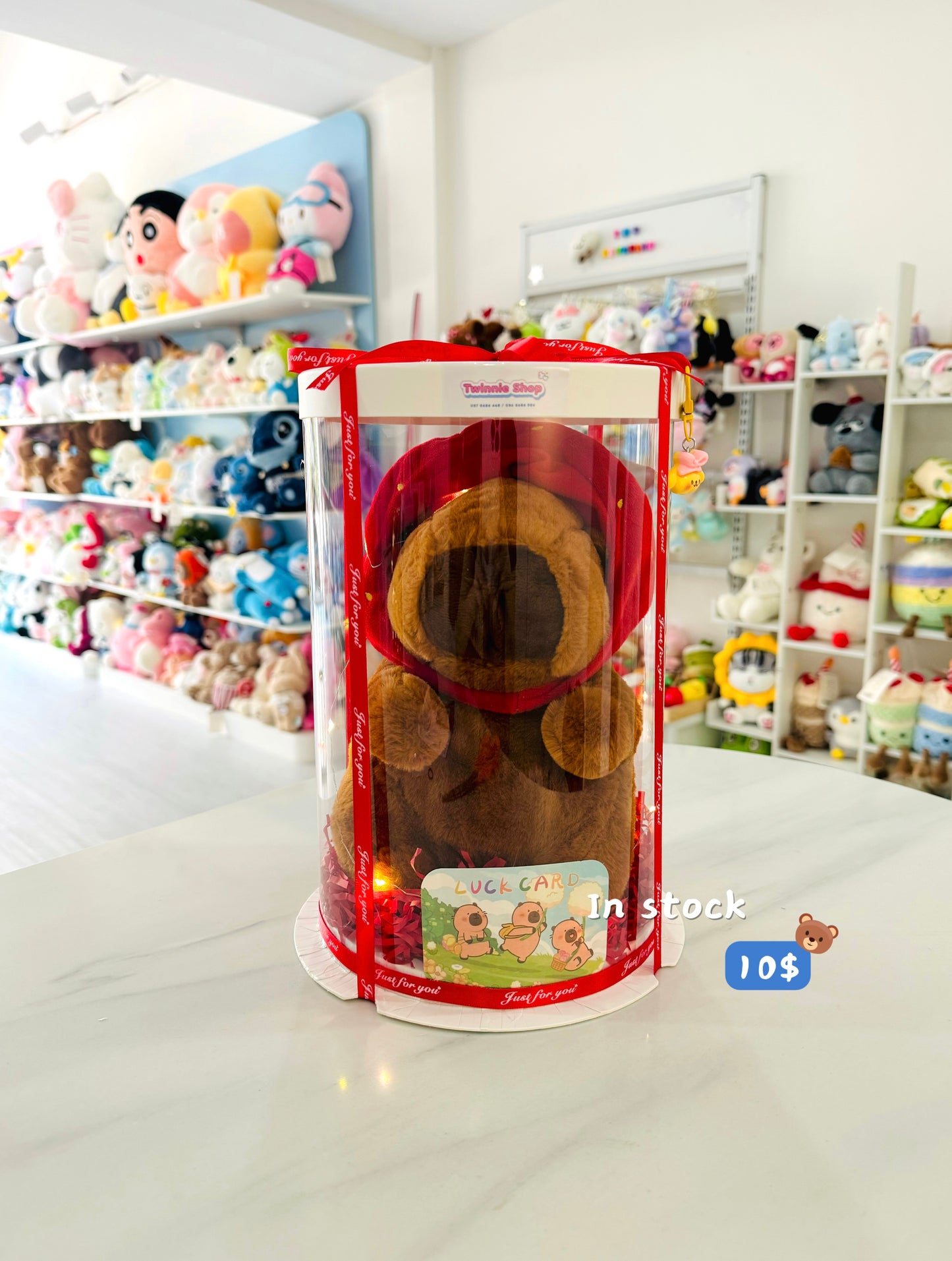 SRB10 | Capybara gift set