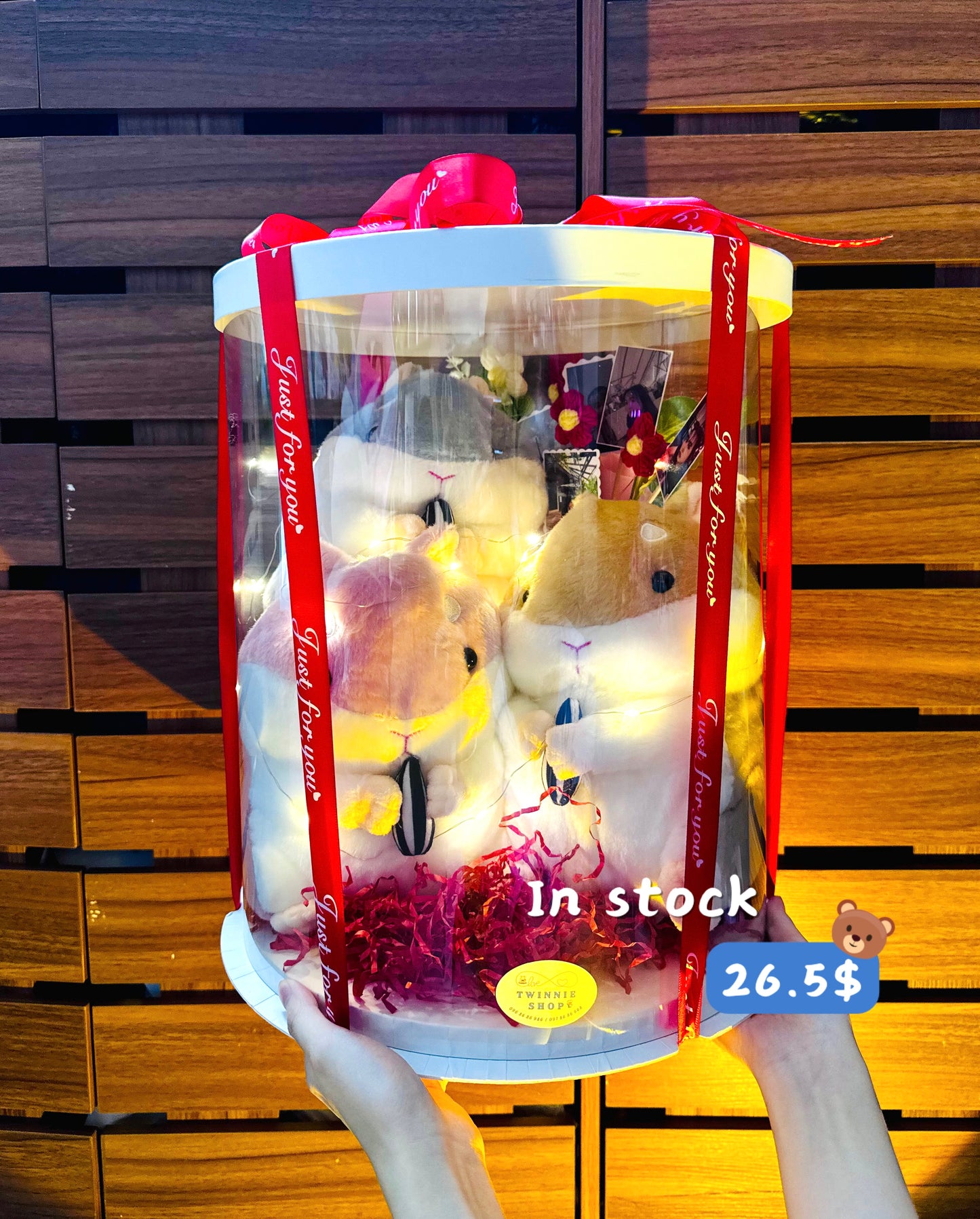 3FS | Hamster photo box