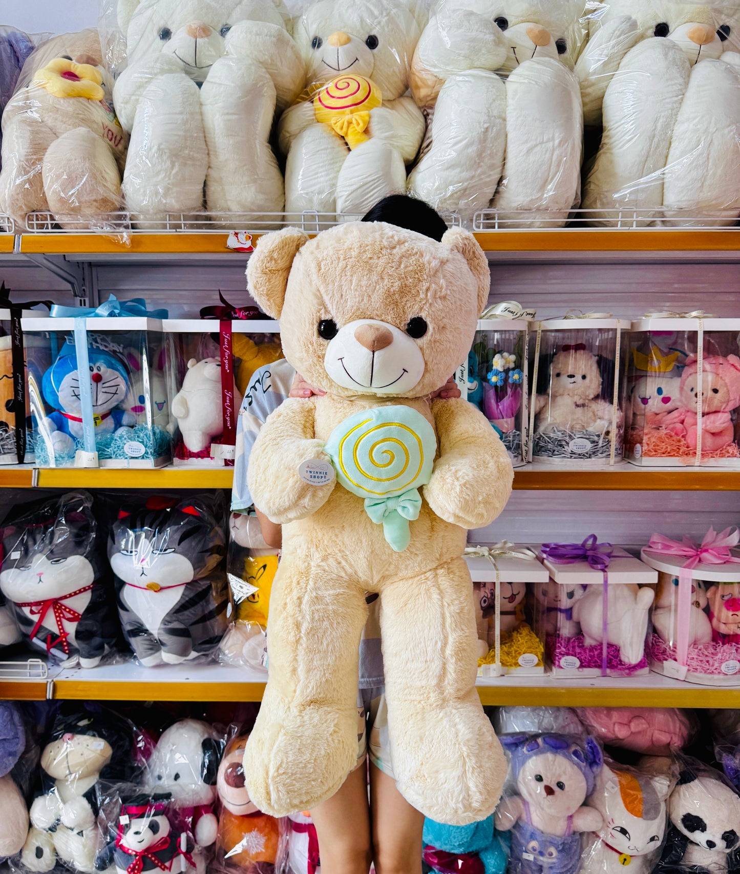 BT | Teddy bear