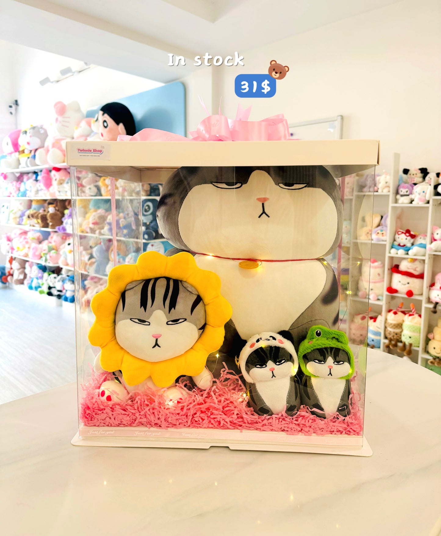 BB | Moody cat family gift box