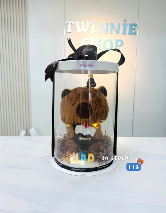 SRB | Capybara birthday set