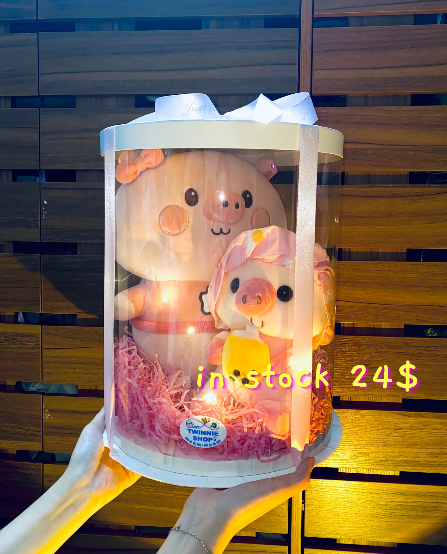 BB | Piggy mix teddy set