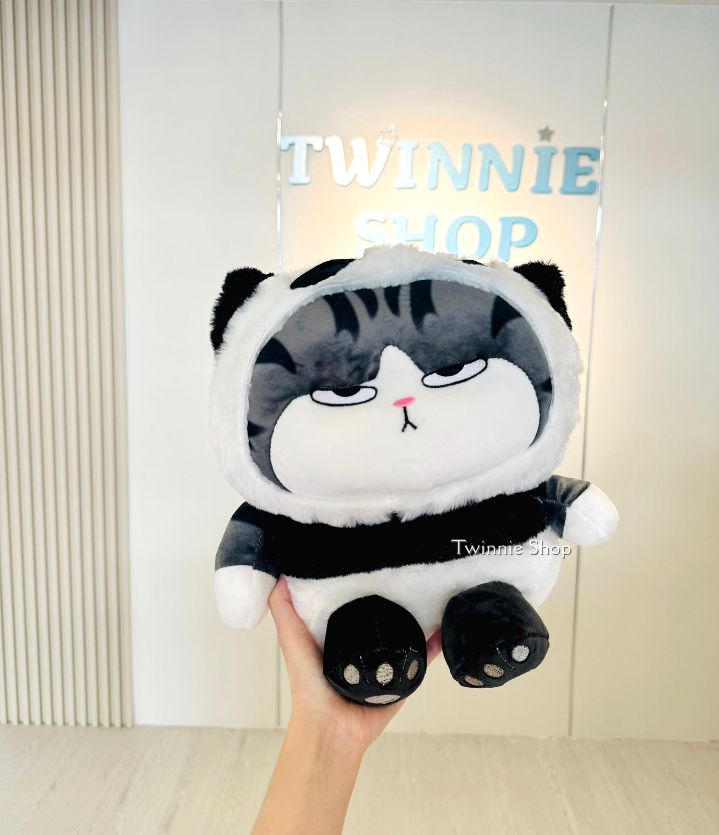 BT | Panda cat