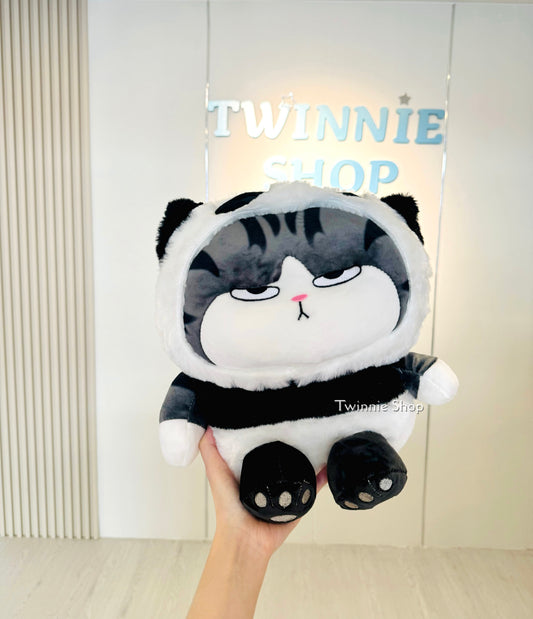 BT | Panda cat