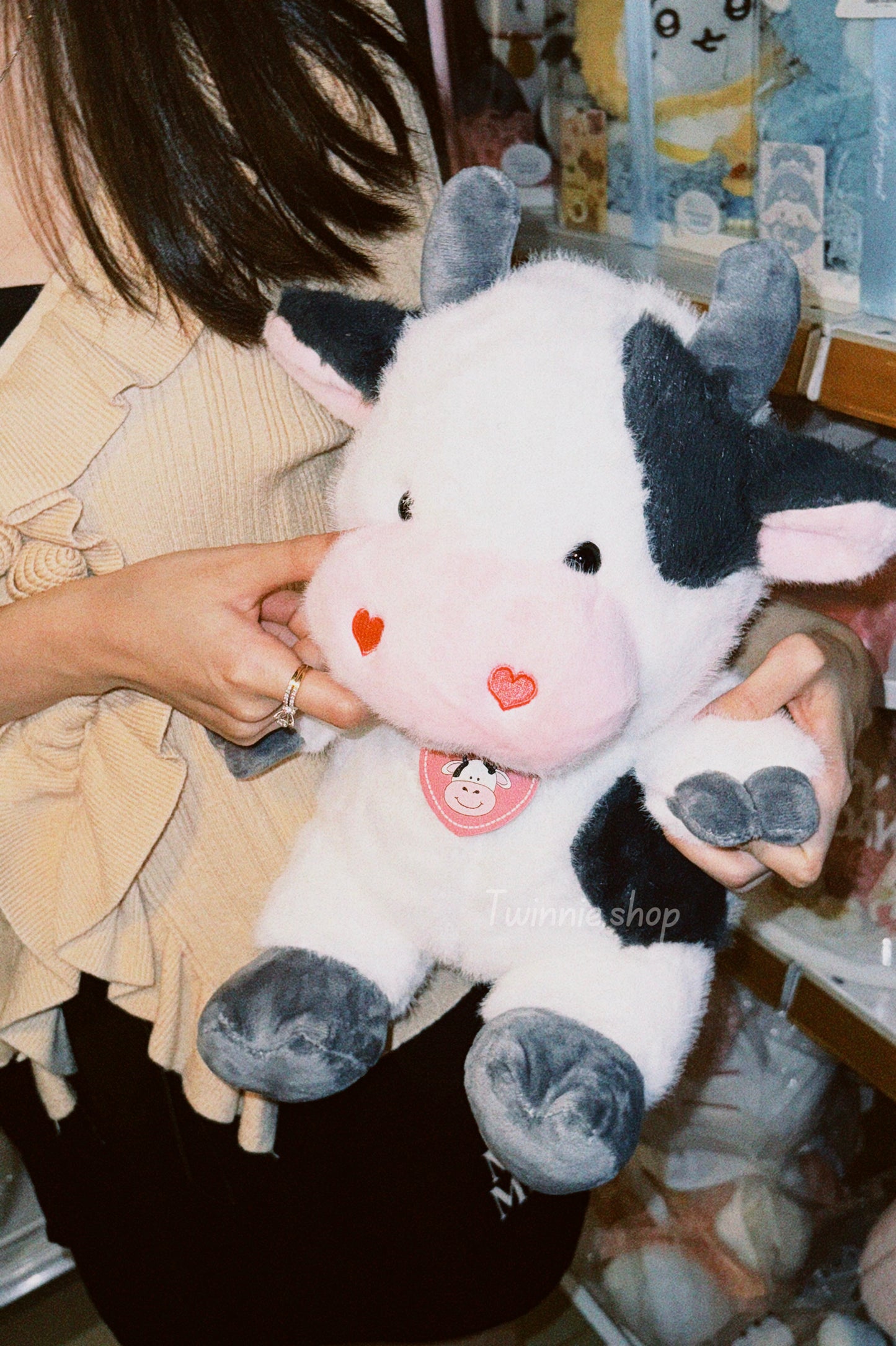 BT | Cow