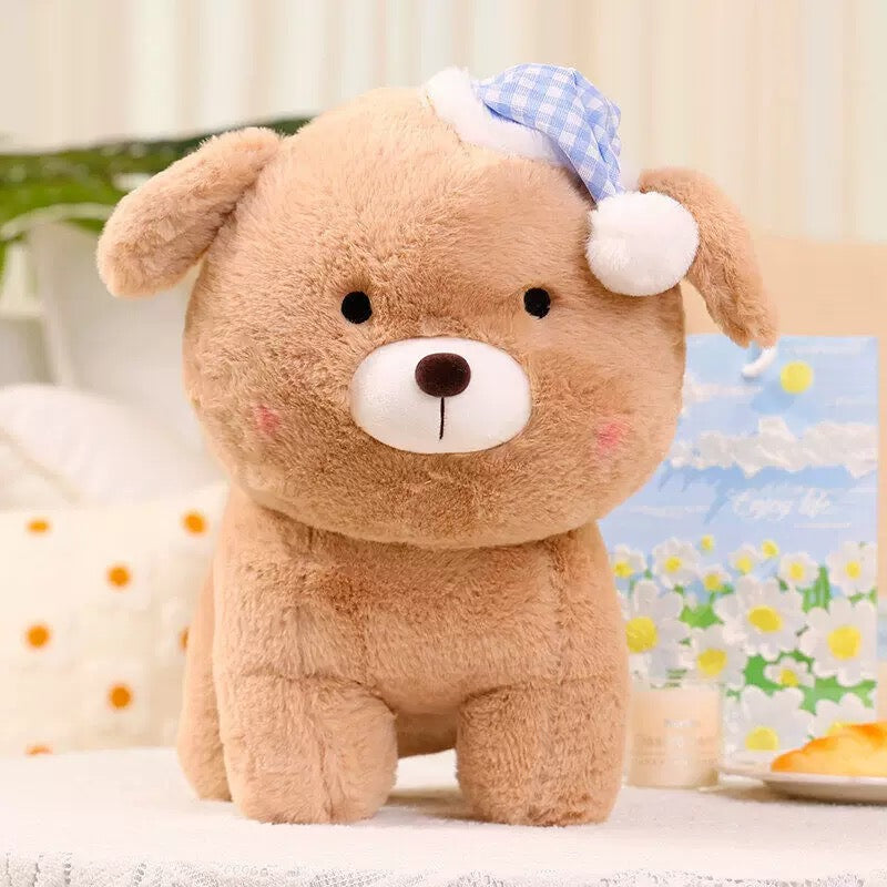 BT | Brown puppy