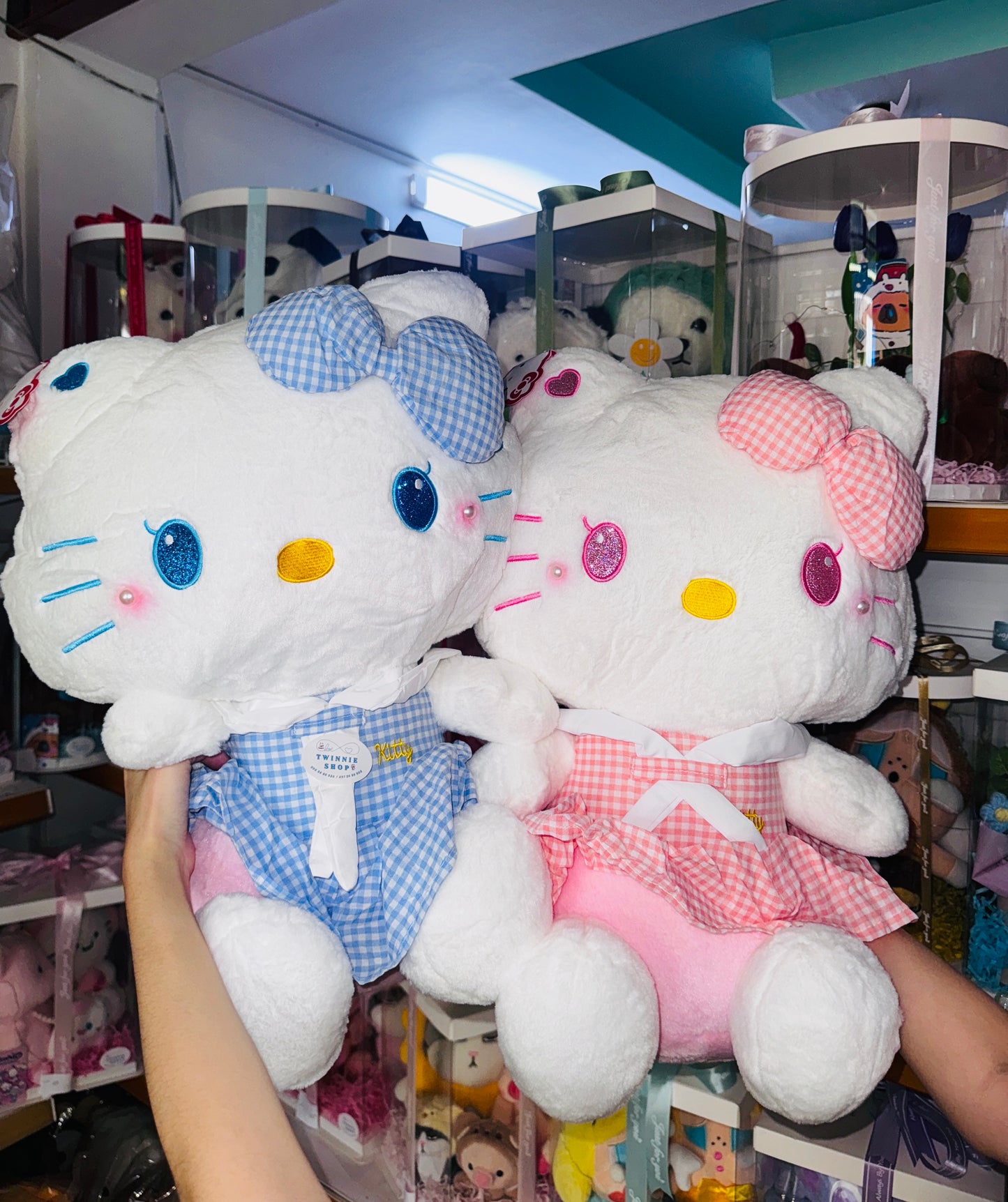 BT | Kitty