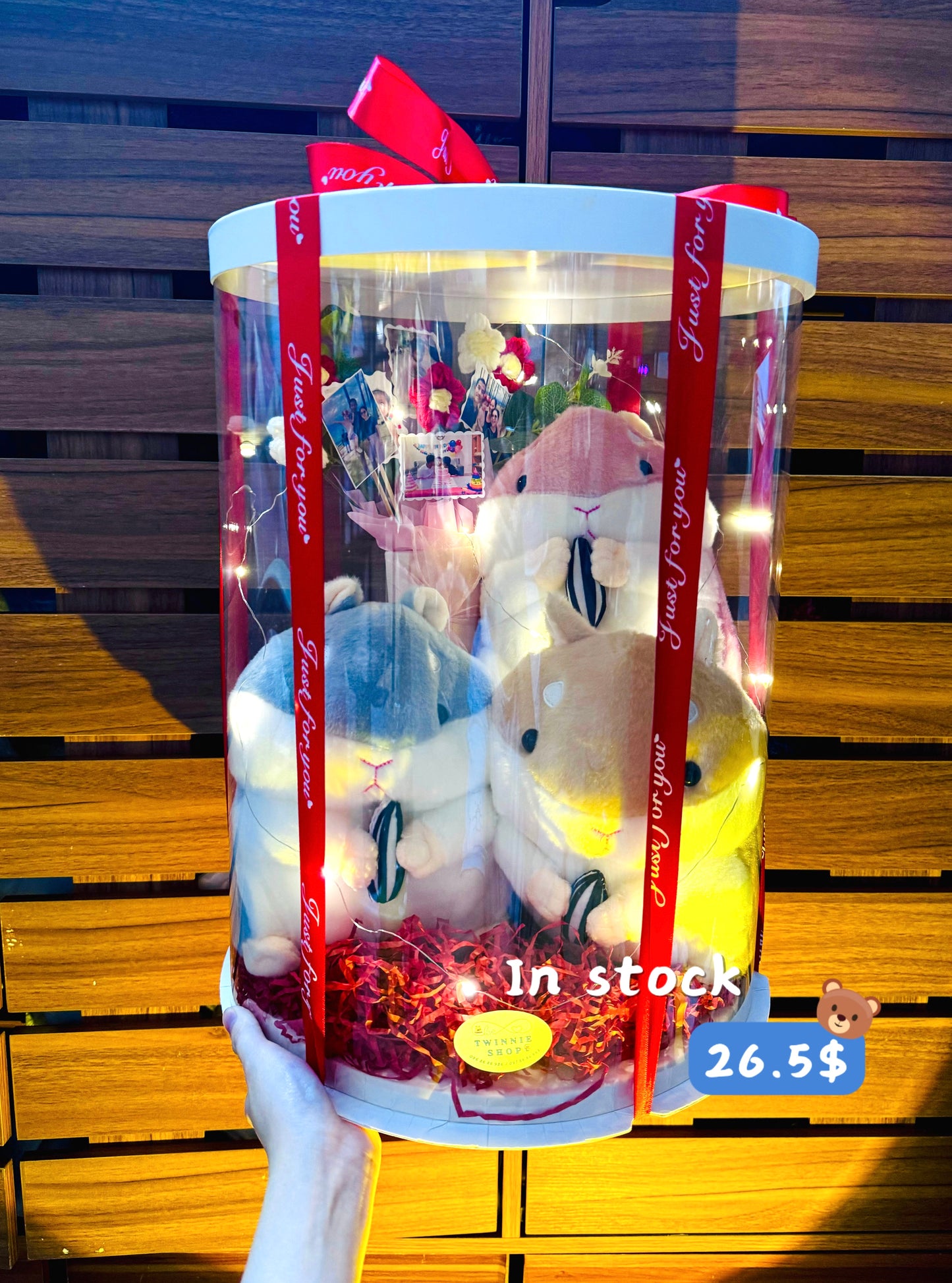 3FS | Hamster photo box