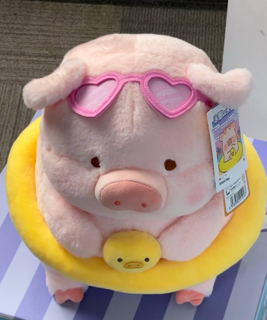 BT | Swim piggy
