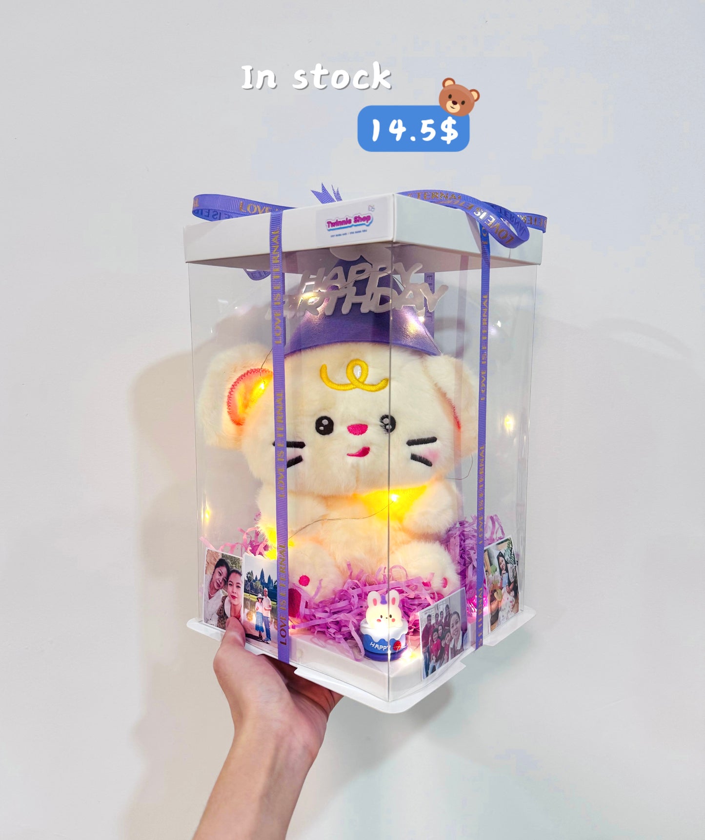 SRBBD | Mouse cake photo set