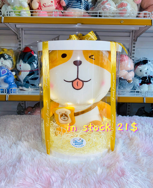 BB | Cute puppy gift set