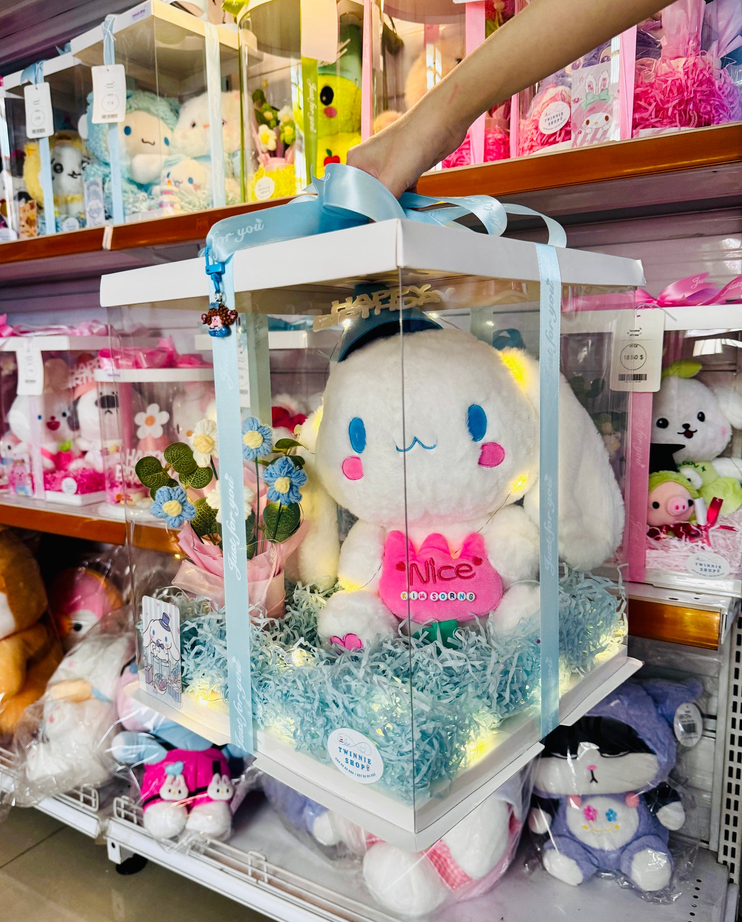 BB | Cinamoroll birthday set