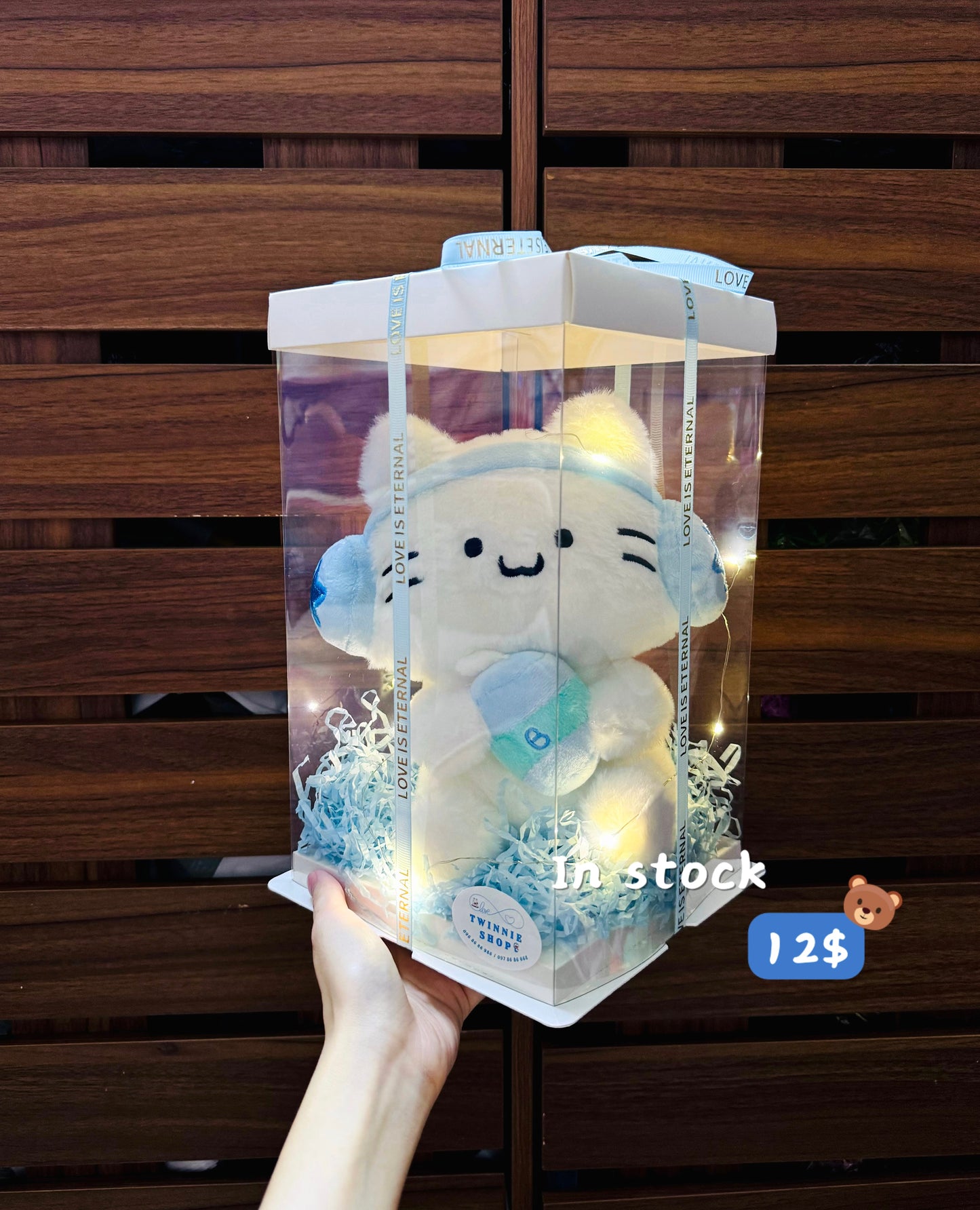 SRB12 | Music Cat gift set